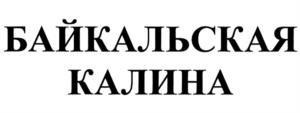 Товарный знак №999550, принадлежит организации Общество с ограниченной ответственностью "БАЙКАЛ", ОГРН 1027739212973, ИНН 7704052495